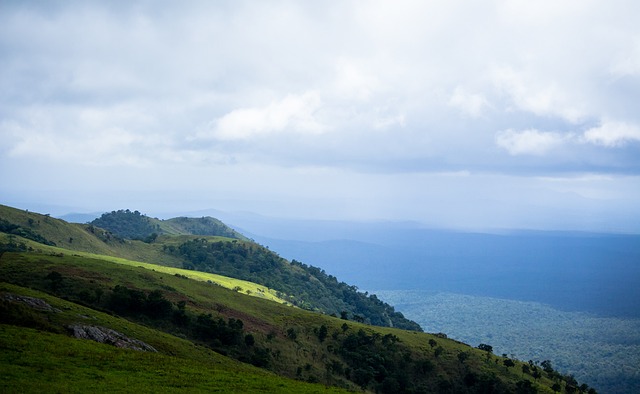 立的学生音 立的学生音