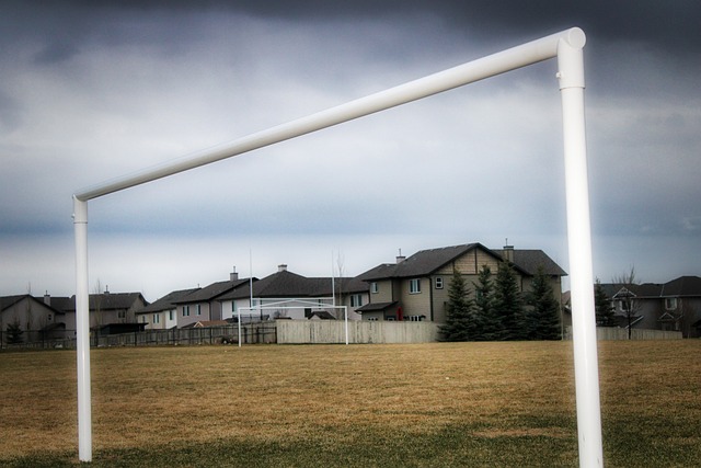 更為他們爭 更為他們爭