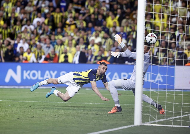 冠军争夺中 冠军争夺中