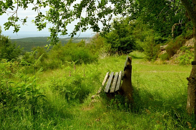 文化的熏陶 文化的熏陶