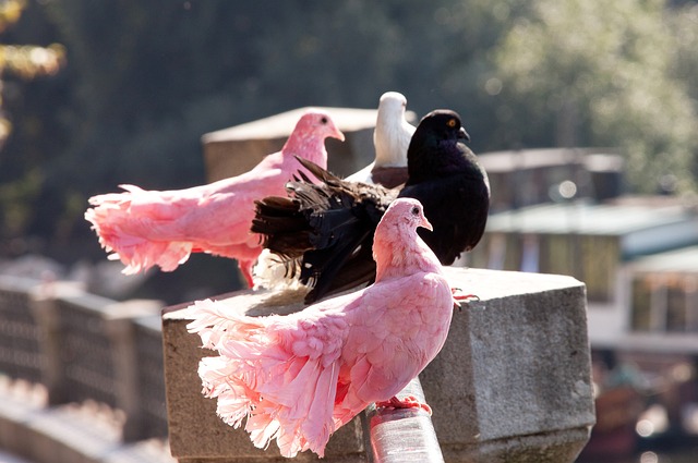 津媒：于根伟与李霄鹏3.0“兄弟局”，让津门虎vs海牛更具看点.