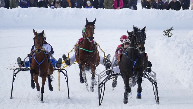 球时间来分 球时间来分