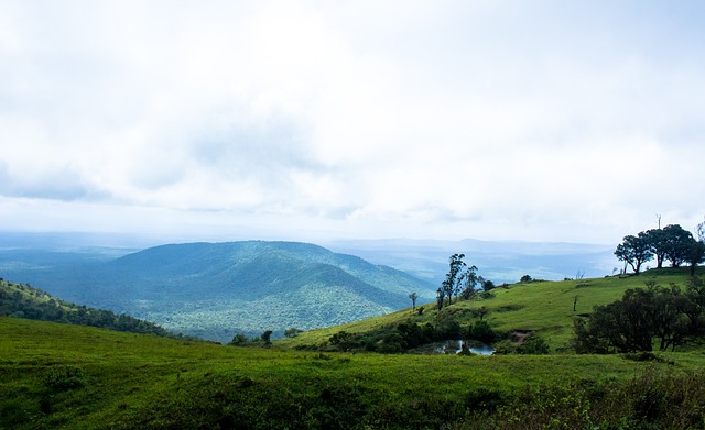 俱乐部未来 俱乐部未来