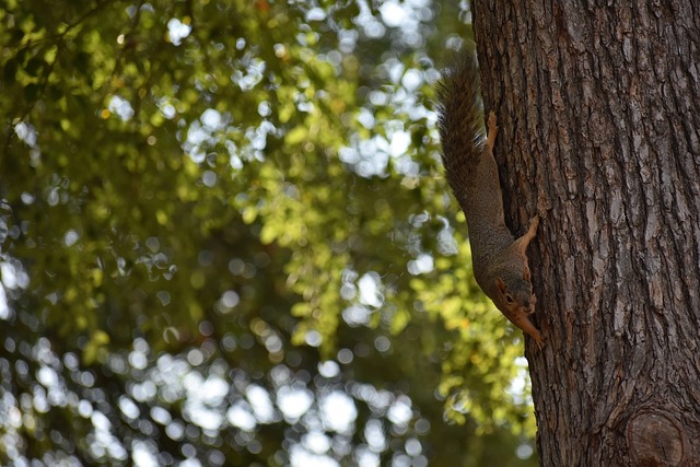 奇迹时刻 奇迹时刻